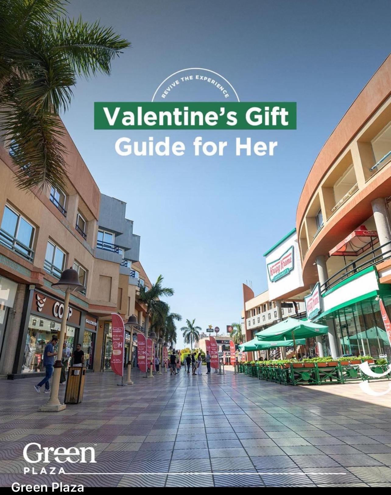 Smouha Plaza Gateway Apartment